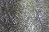 Summerston fibreglass roof work